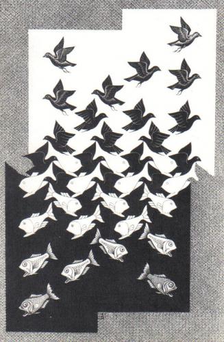Lucht en Water van M.C. Escher